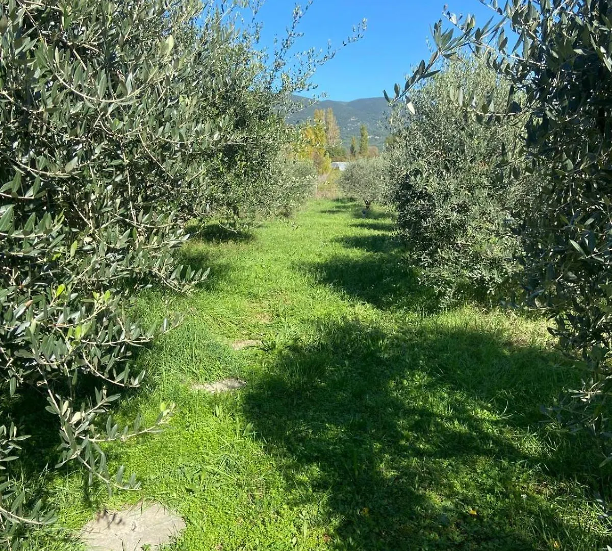 Homestay Le Moulin De L'Aire Apartment Lourmarin